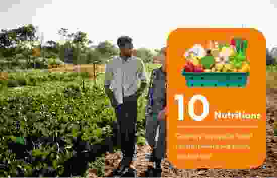 Le Panier Dar Essalam